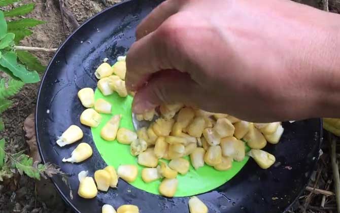 新鲜玉米钓鱼效果好吗