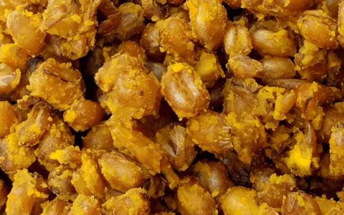 初夏钓鱼用什么饵料最好